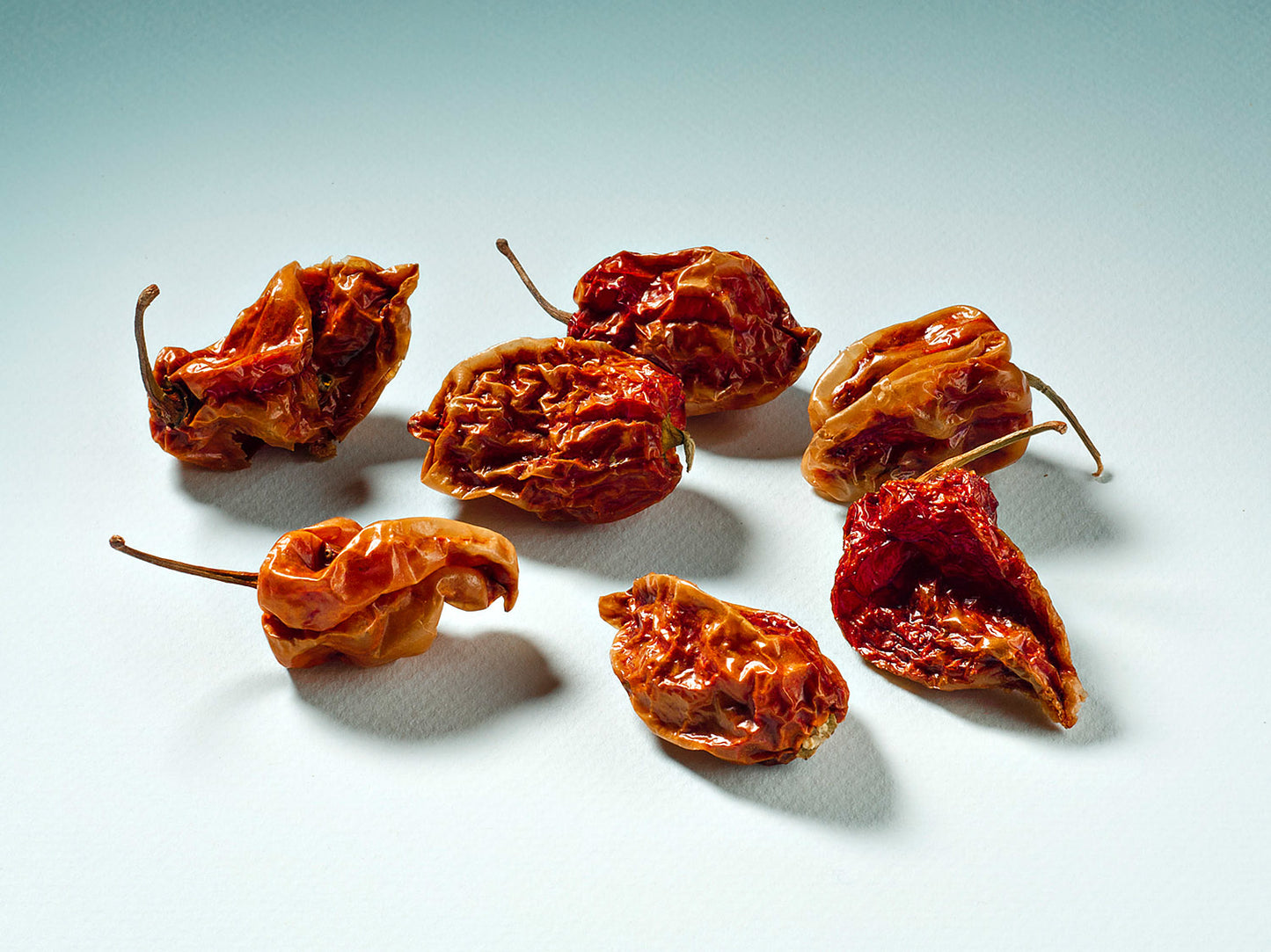Ολόκληρη κόκκινη πιπεριά τσίλι Savina Habanero 10γρ